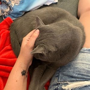 Meet your Posher, Chloe